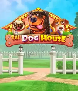 From Pragmatic Play comes The Dog House, offering a delightful adventure into the world of lovable dogs. Engage in features such as sticky wilds, designed for providing entertaining gameplay. Perfect for those who enjoy a lighthearted setting alongside lucrative rewards.